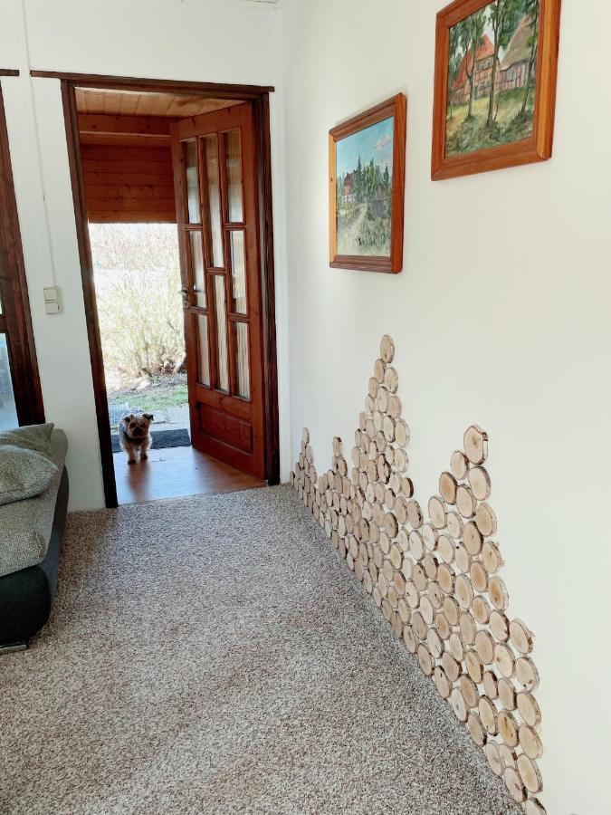 Landhaus Mit Pool, Bungalow In Der Natur Hohenbollentin المظهر الخارجي الصورة