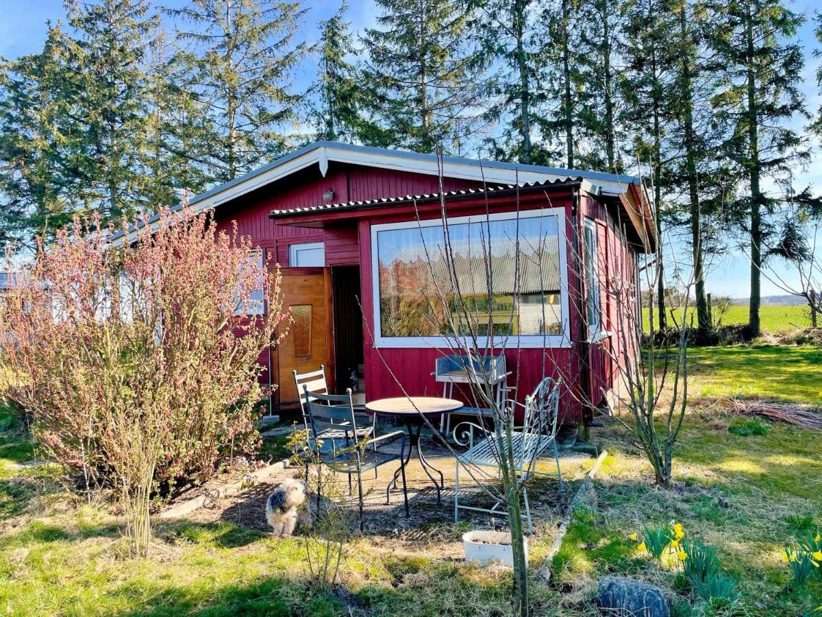 Landhaus Mit Pool, Bungalow In Der Natur Hohenbollentin المظهر الخارجي الصورة