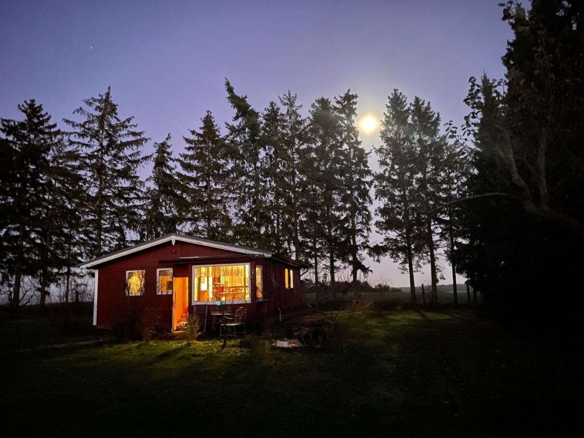 Landhaus Mit Pool, Bungalow In Der Natur Hohenbollentin المظهر الخارجي الصورة